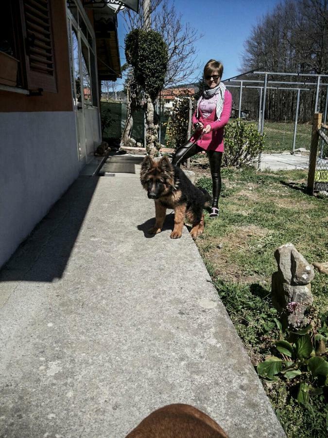 La Locanda Degli Elfi Viggianello Εξωτερικό φωτογραφία
