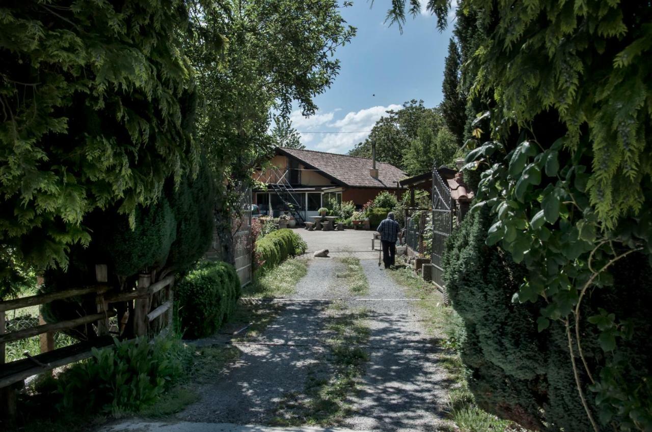 La Locanda Degli Elfi Viggianello Εξωτερικό φωτογραφία