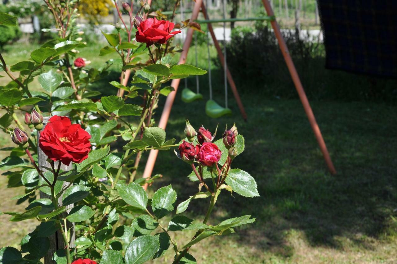 La Locanda Degli Elfi Viggianello Εξωτερικό φωτογραφία